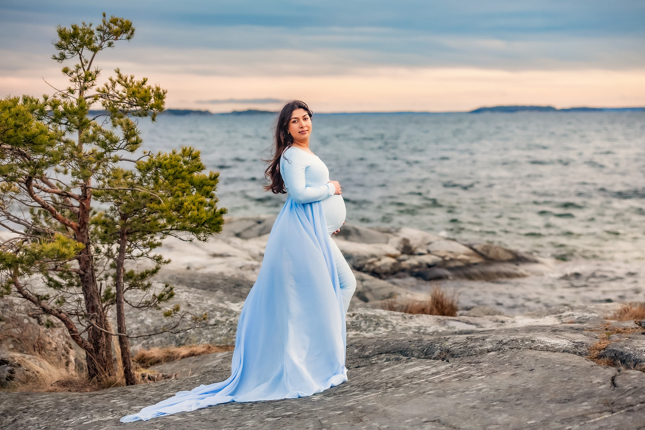 En vacker gravid kvinna i en ljusblå klänning med långt släp står bredvid ett litet barrträd på klipporna vid havet i solnedgången.