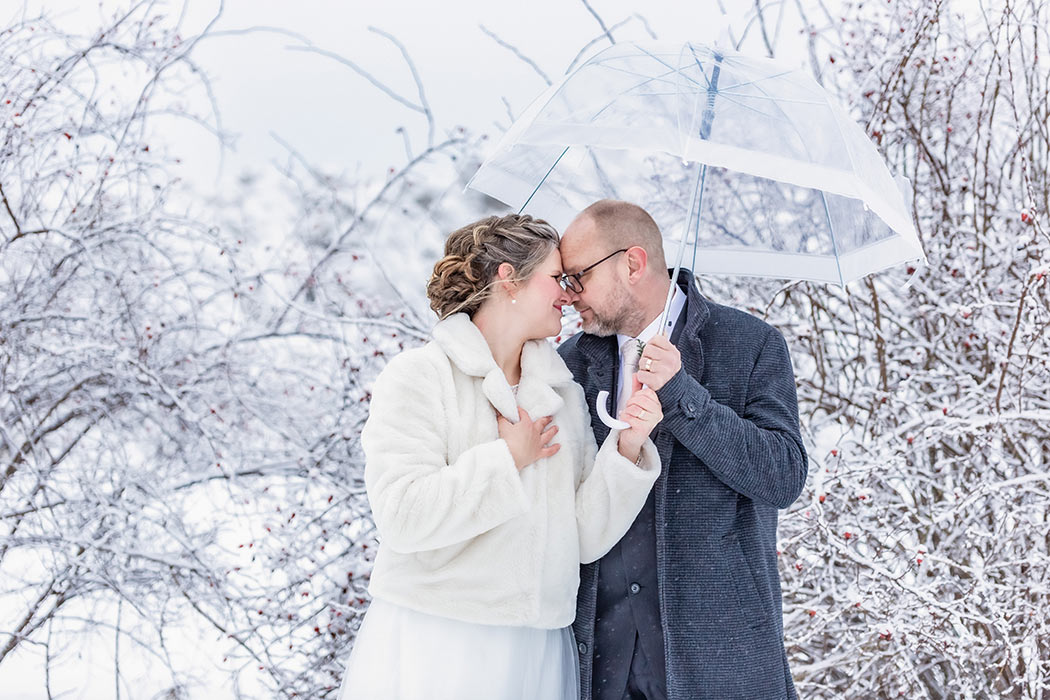 Bröllopspar kramas och tittar varandra i ögonen en vinterdag framför en nyponbuske. Det kommer blöt snö så paret står under ett genomskinligt paraply.
