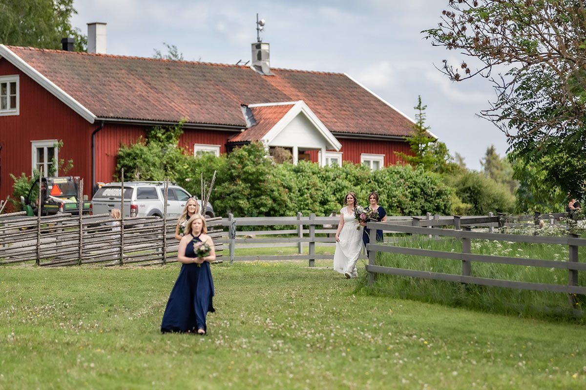 Vigselfotografering där bruden kommer gående över en äng med en röda stuga i bakgrunden.