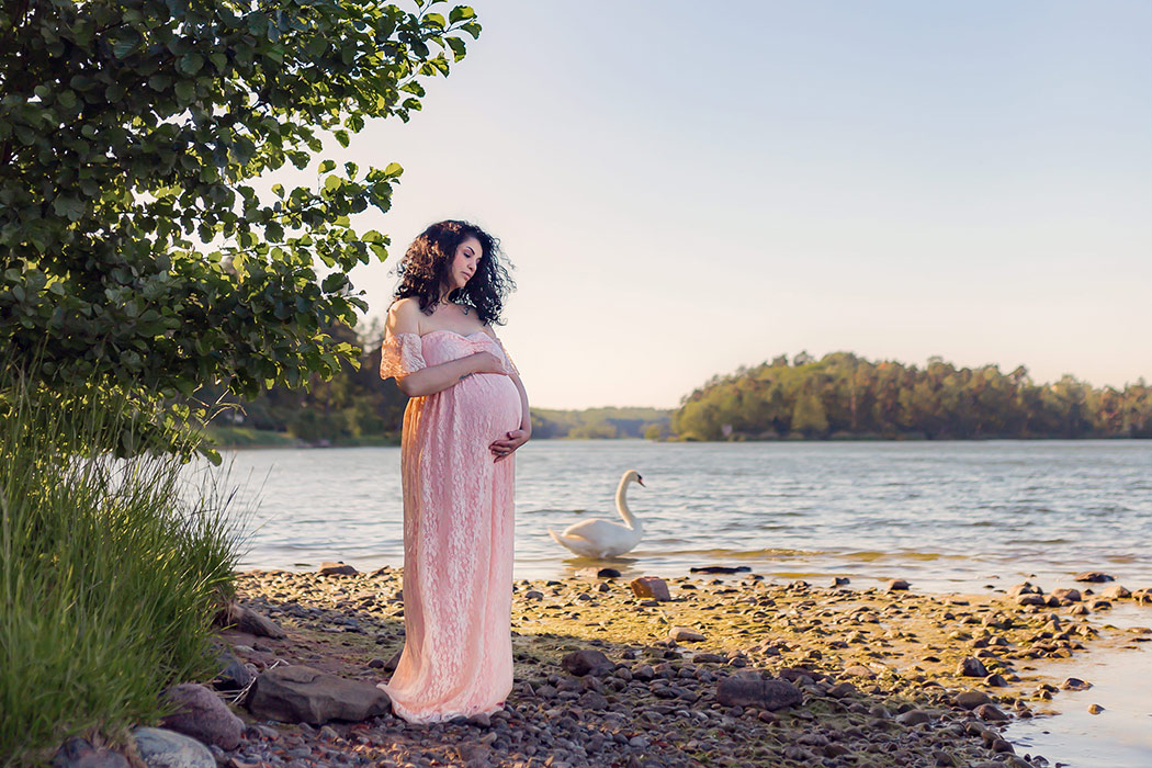 Gravidfotografering på en stenstrand bland grönska. Den gravida kvinnan har på sig en rosa gravidklänning och i bakgrunden går en svan ner i vattnet.