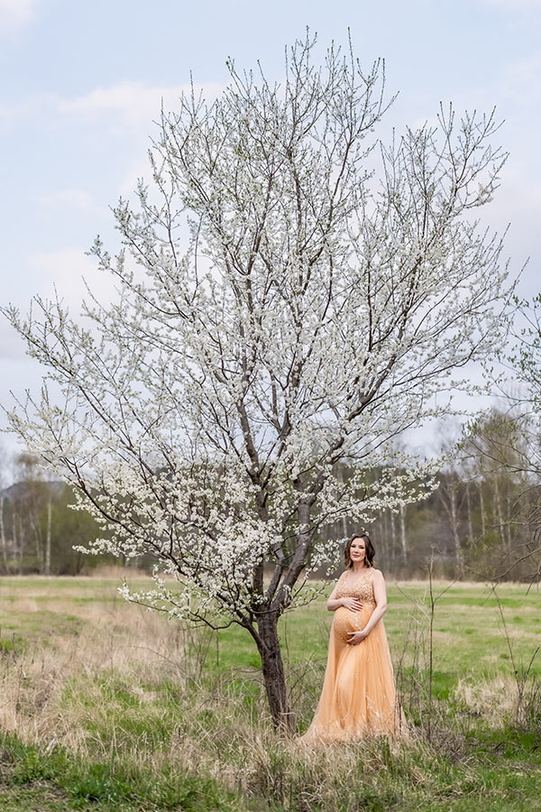 En gravid kvinna i vacker klänning står vid ett stort blomstrande träd om våren.