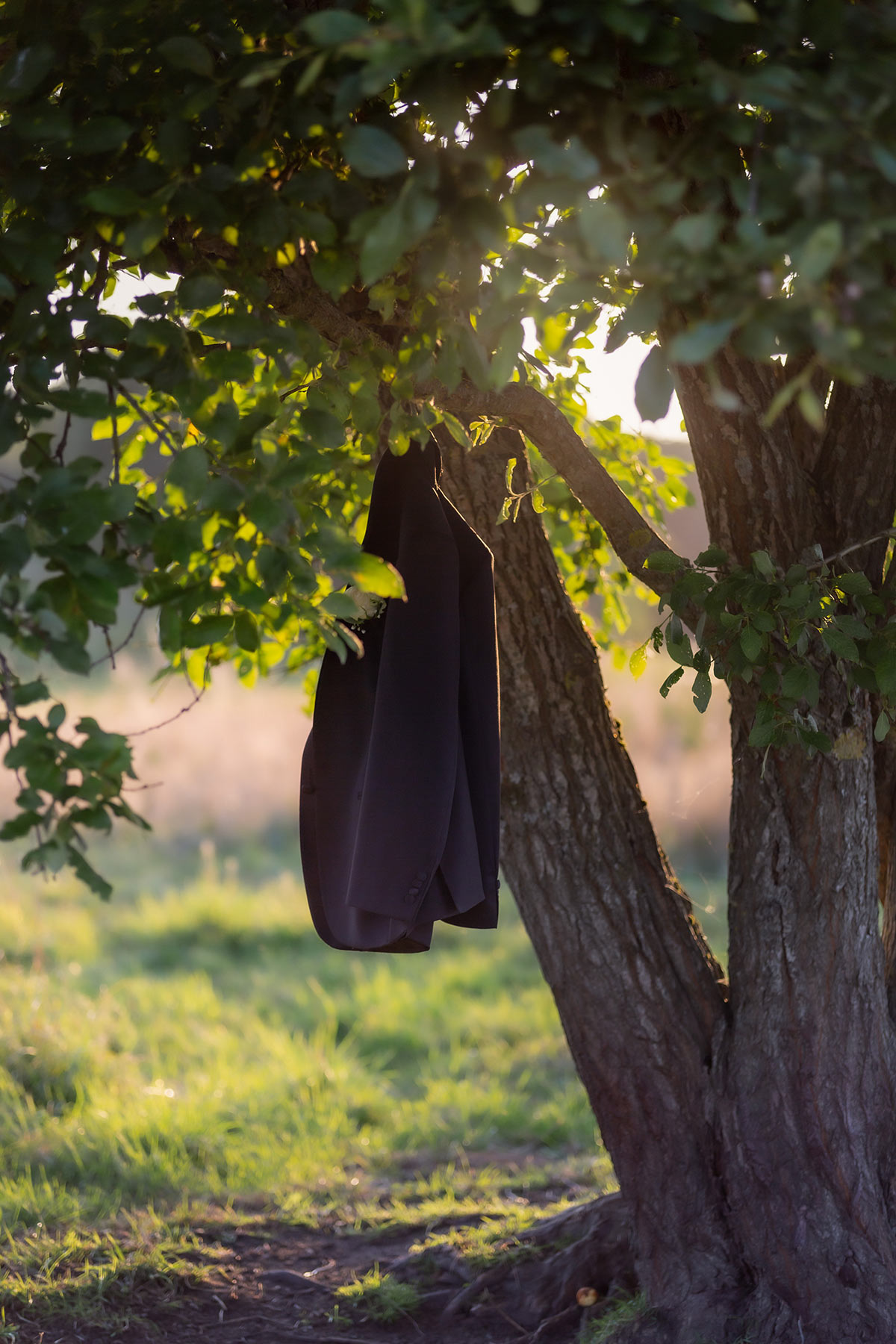 Brudgummens kavaj hänger på en gren i ett stort träd. Den gyllen kvällsljuset skiner in mellan bladen.